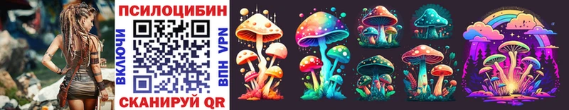 купить наркоту  Петрозаводск  Галлюциногенные грибы Psilocybe 